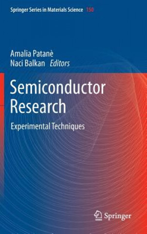Könyv Semiconductor Research Amalia Patane