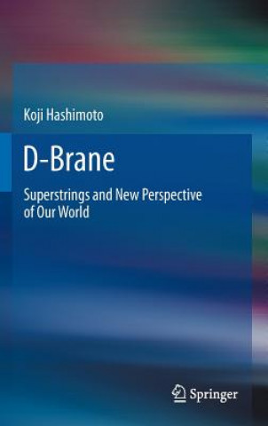 Könyv D-Brane Koji Hashimoto