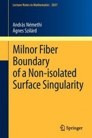 Könyv Milnor Fiber Boundary of a Non-isolated Surface Singularity András Némethi