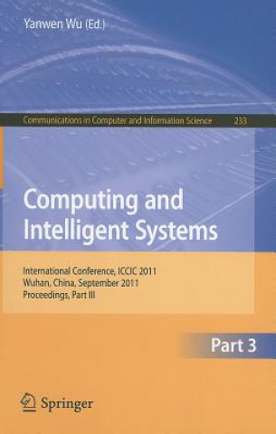 Kniha Computing and Intelligent Systems Yanwen Wu