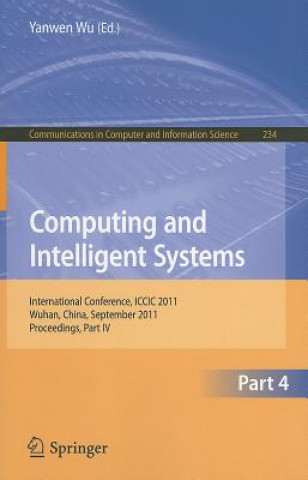 Kniha Computing and Intelligent Systems Yanwen Wu