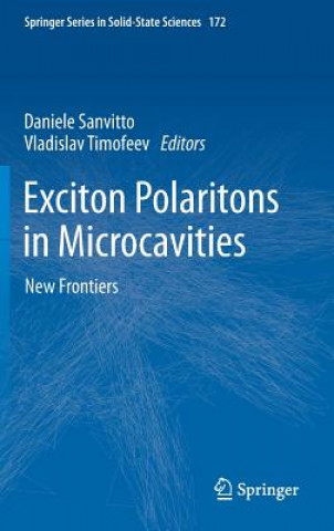Könyv Exciton Polaritons in Microcavities Vladislav Timofeev