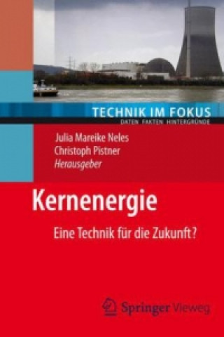 Kniha Kernenergie Julia Mareike Neles