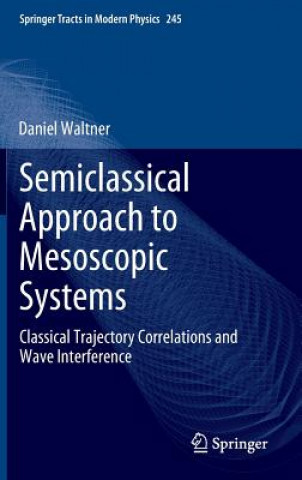 Könyv Semiclassical Approach to Mesoscopic Systems Daniel Waltner