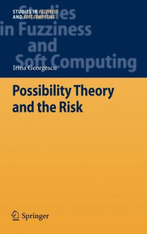 Knjiga Possibility Theory and the Risk Irina Georgescu