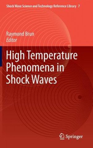 Книга High Temperature Phenomena in Shock Waves Raymond Brun