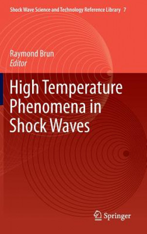 Buch High Temperature Phenomena in Shock Waves Raymond Brun