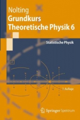Kniha Grundkurs Theoretische Physik 6 Wolfgang Nolting