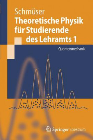 Kniha Theoretische Physik für Studierende des Lehramts. Bd.1 Peter Schmüser
