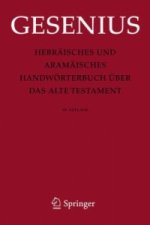 Carte Hebraisches und Aramaisches Handworterbuch uber das Alte Testament Wilhelm Gesenius