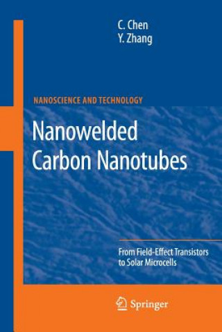 Könyv Nanowelded Carbon Nanotubes Changxin Chen