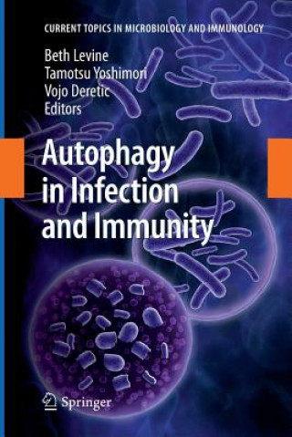 Книга Autophagy in Infection and Immunity Beth Levine
