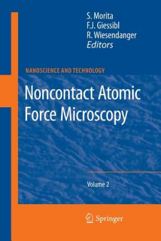 Könyv Noncontact Atomic Force Microscopy Seizo Morita