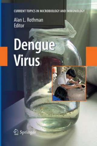 Kniha Dengue Virus Alan L. Rothman