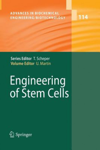 Buch Engineering of Stem Cells Ulrich Martin