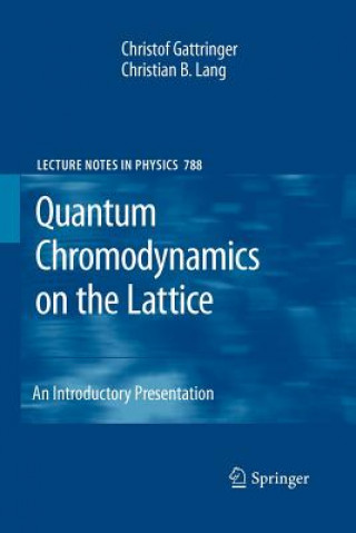 Könyv Quantum Chromodynamics on the Lattice Christof Gattringer