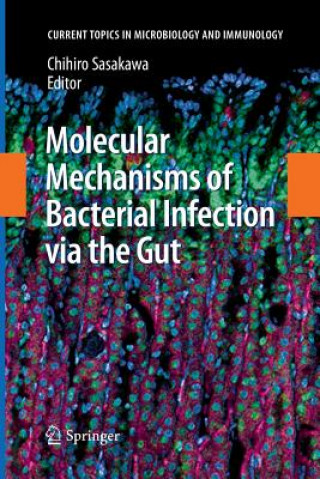 Könyv Molecular Mechanisms of Bacterial Infection via the Gut Chihiro Sasakawa