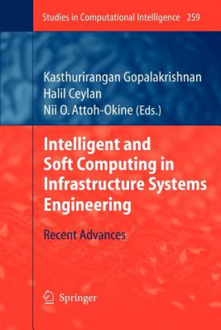 Kniha Intelligent and Soft Computing in Infrastructure Systems Engineering Kasthurirangan Gopalakrishnan
