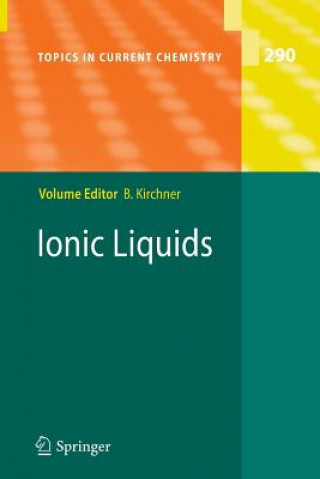 Książka Ionic Liquids Barbara Kirchner