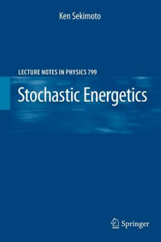 Libro Stochastic Energetics Ken Sekimoto