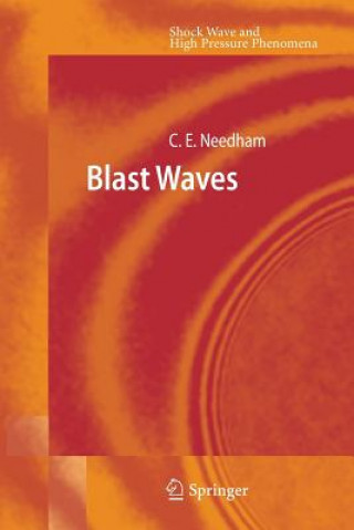 Kniha Blast Waves Charles E. Needham