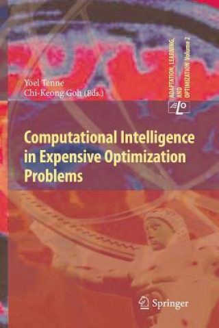 Könyv Computational Intelligence in Expensive Optimization Problems Yoel Tenne