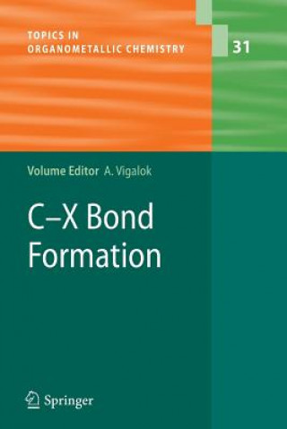 Könyv C-X Bond Formation Arkadi Vigalok