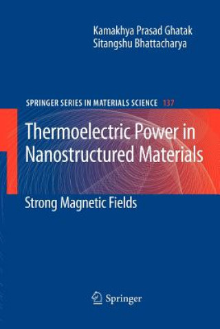 Book Thermoelectric Power in Nanostructured Materials Kamakhya Prasad Ghatak