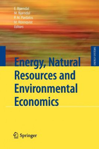 Knjiga Energy, Natural Resources and Environmental Economics Endre Bj