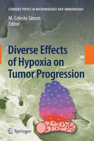 Buch Diverse Effects of Hypoxia on Tumor Progression M. Celeste Simon