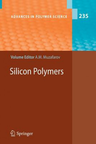 Kniha Silicon Polymers Aziz M. Muzafarov