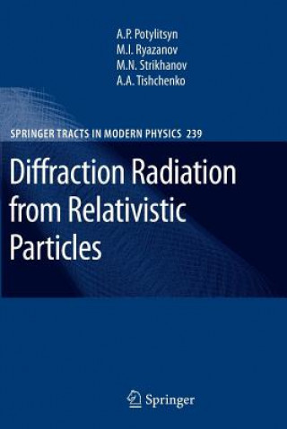 Książka Diffraction Radiation from Relativistic Particles Alexander Petrovich Potylitsyn