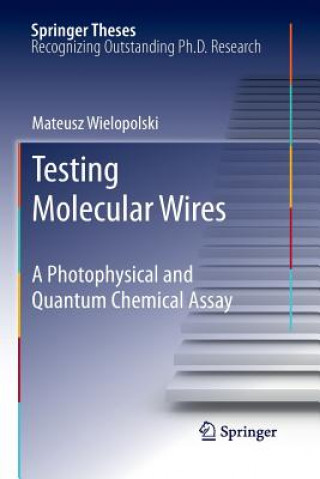 Knjiga Testing Molecular Wires Mateusz Wielopolski