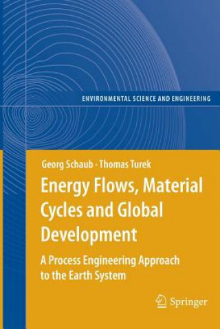 Kniha Energy Flows, Material Cycles and Global Development Georg Schaub