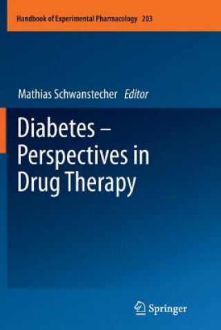 Könyv Diabetes - Perspectives in Drug Therapy Mathias Schwanstecher