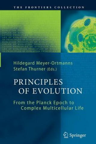 Könyv Principles of Evolution Hildegard Meyer-Ortmanns