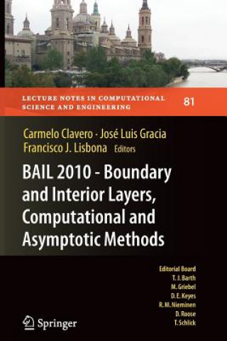 Carte BAIL 2010 - Boundary and Interior Layers, Computational and Asymptotic Methods Carmelo Clavero