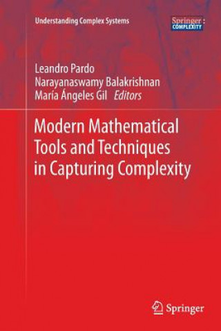 Kniha Modern Mathematical Tools and Techniques in Capturing Complexity Leandro Pardo