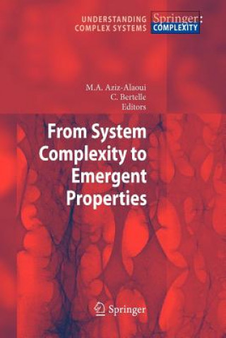 Könyv From System Complexity to Emergent Properties Moulay Aziz-Alaoui
