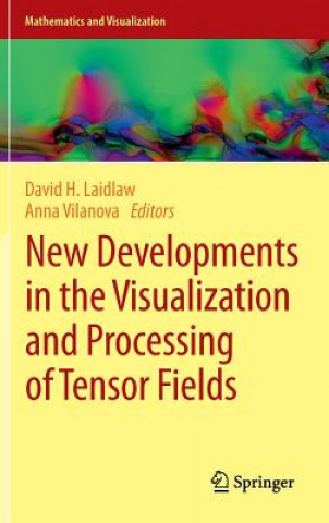 Boek New Developments in the Visualization and Processing of Tensor Fields David H. Laidlaw