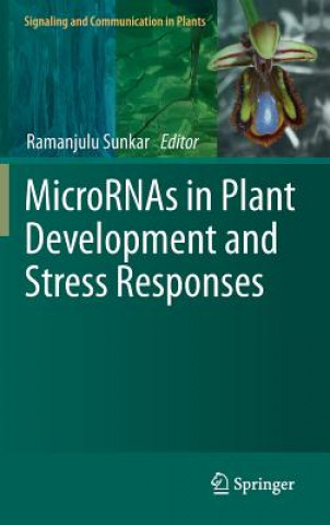 Buch MicroRNAs in Plant Development and Stress Responses Ramanjulu Sunkar