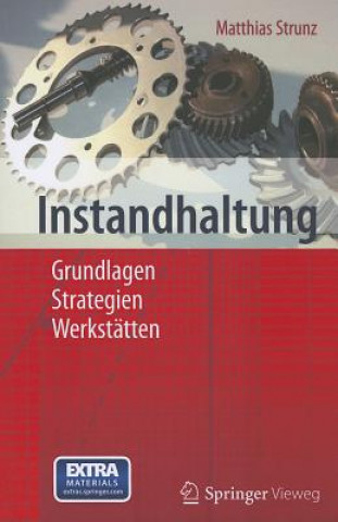 Kniha Instandhaltung Matthias Strunz