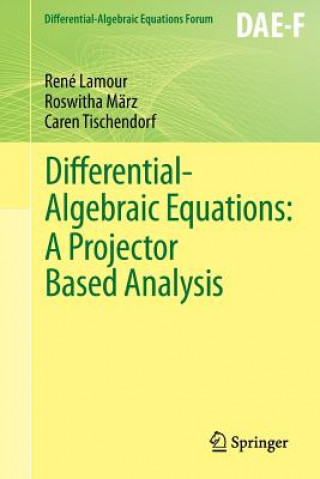 Könyv Differential-Algebraic Equations: A Projector Based Analysis René Lamour