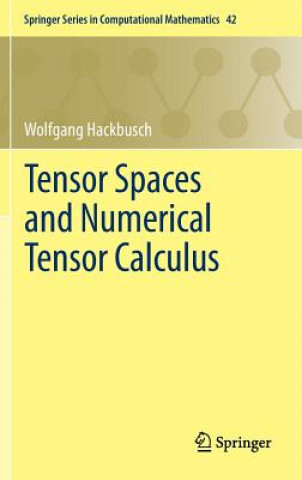 Carte Tensor Spaces and Numerical Tensor Calculus Wolfgang Hackbusch