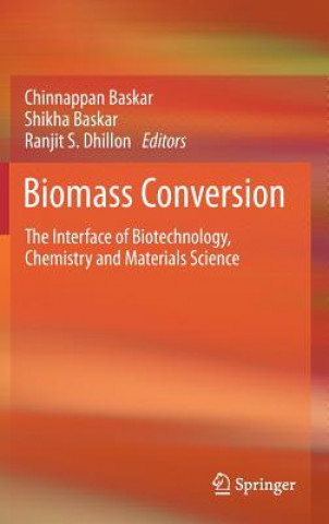 Könyv Biomass Conversion Chinnappan Baskar