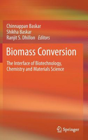 Książka Biomass Conversion Chinnappan Baskar