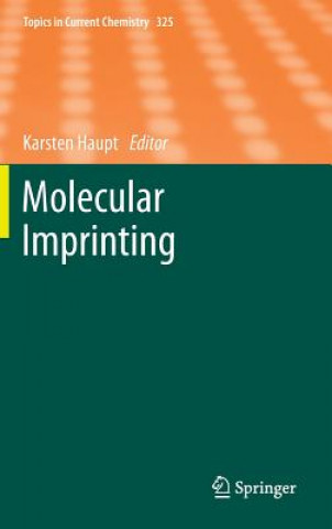 Könyv Molecular Imprinting Karsten Haupt