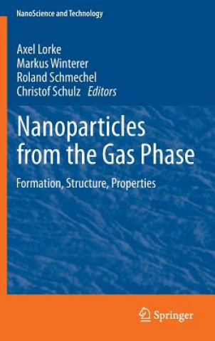 Kniha Nanoparticles from the Gasphase Axel Lorke