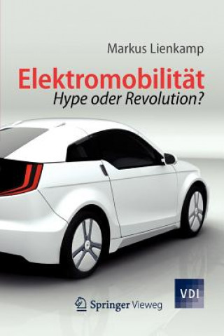 Carte Elektromobilitat Markus Lienkamp