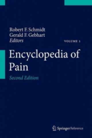 Kniha Encyclopedia of Pain Robert F. Schmidt